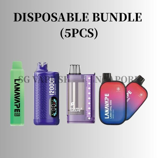 sg-vape-shop-singapore-disposable-vape-bundle