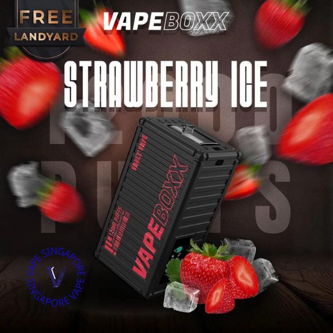 Vapeboxx 12000 Puff - Vape Singapore SG Vape